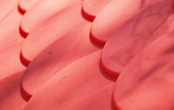 Walbottle plastic roof costs